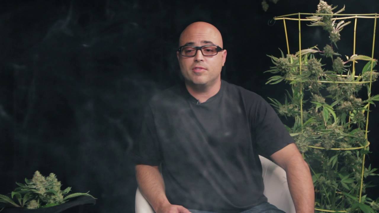 Between Two Strains - Josh D