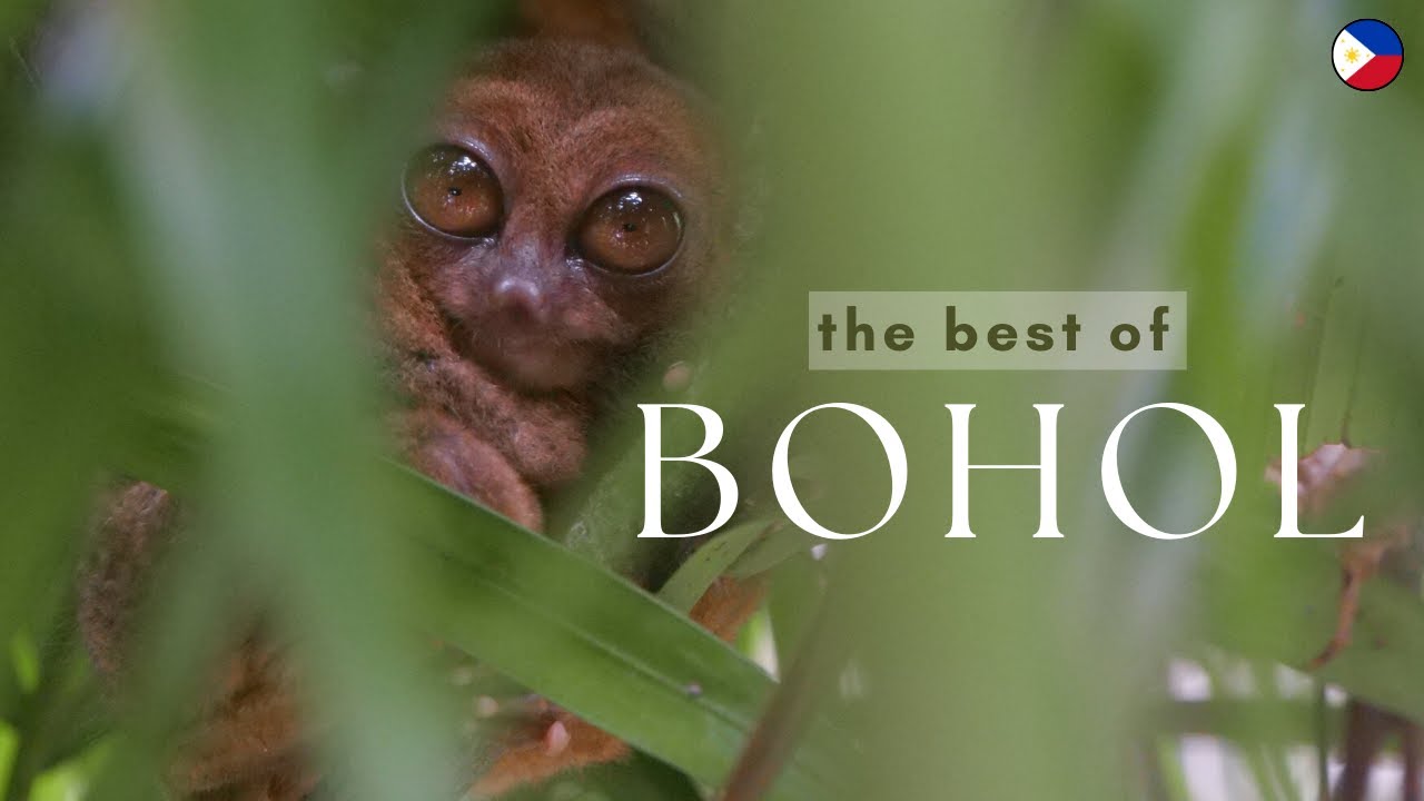 PHILIPPINES | discovering the island of BOHOL, off the beaten track! [EP3/6]