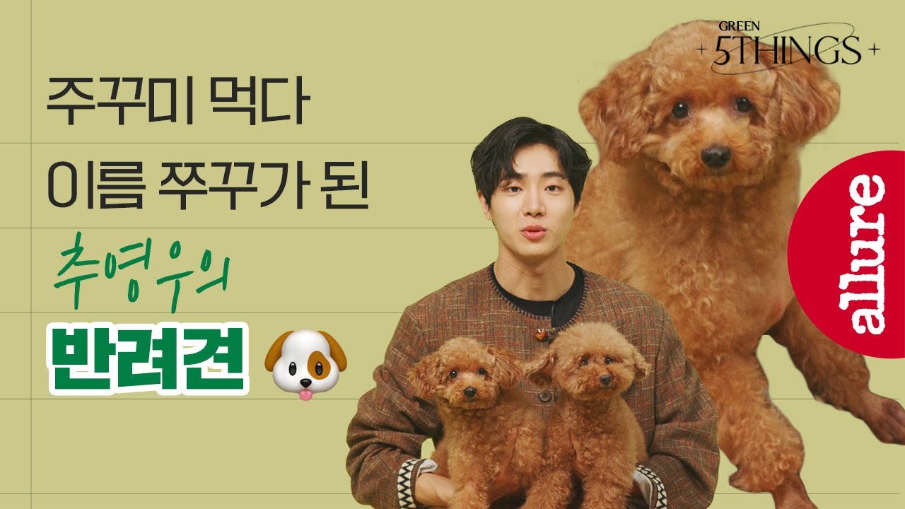 추영우 반려견 쭈꾸&쭈순이 등장! 쭈꾸의 장기부터 강아지 농장에서 추영우네 집으로 오게 된 이야기까지| 얼루어코리아 Allure Korea