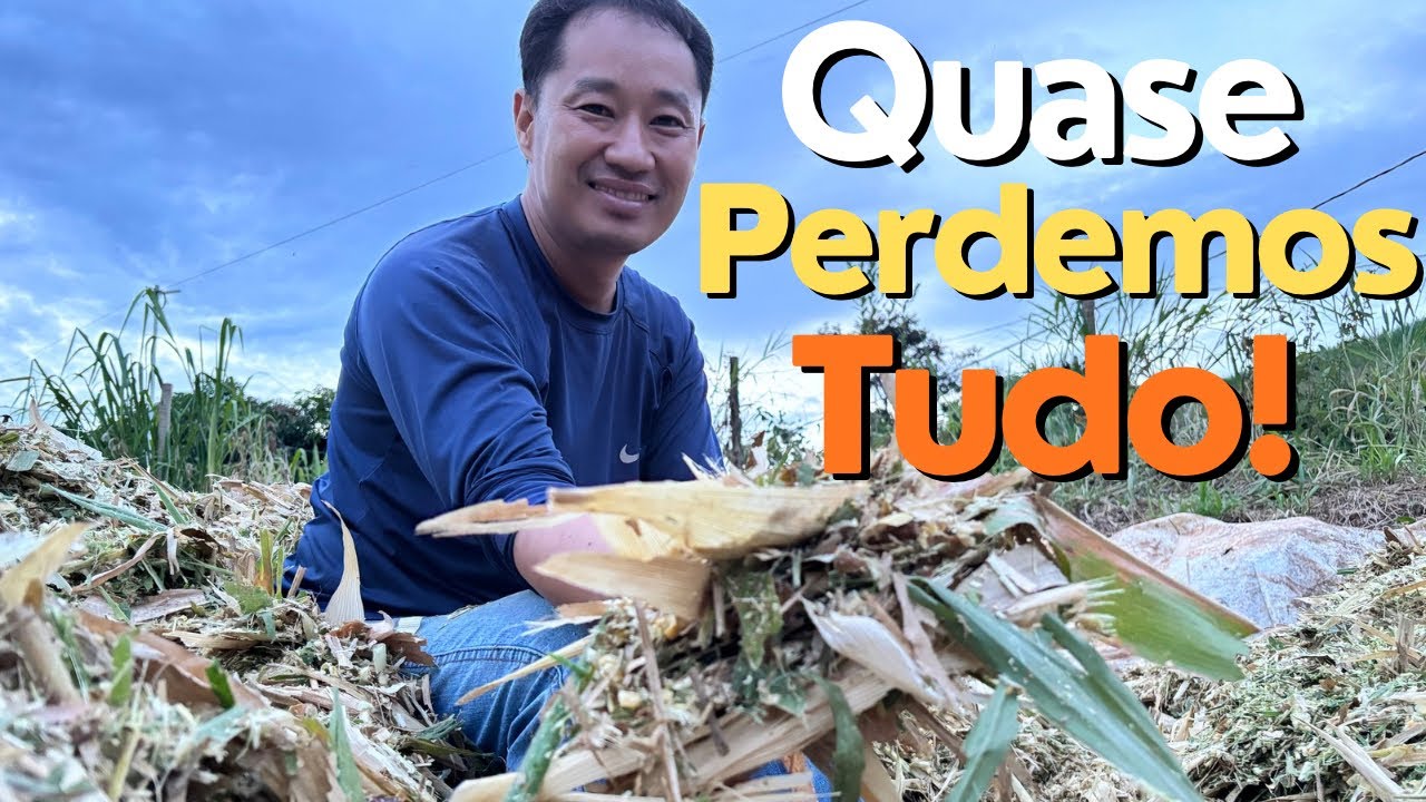 Quase Perdemos Tudo! Silagem no Meio do Barro e da Chuva