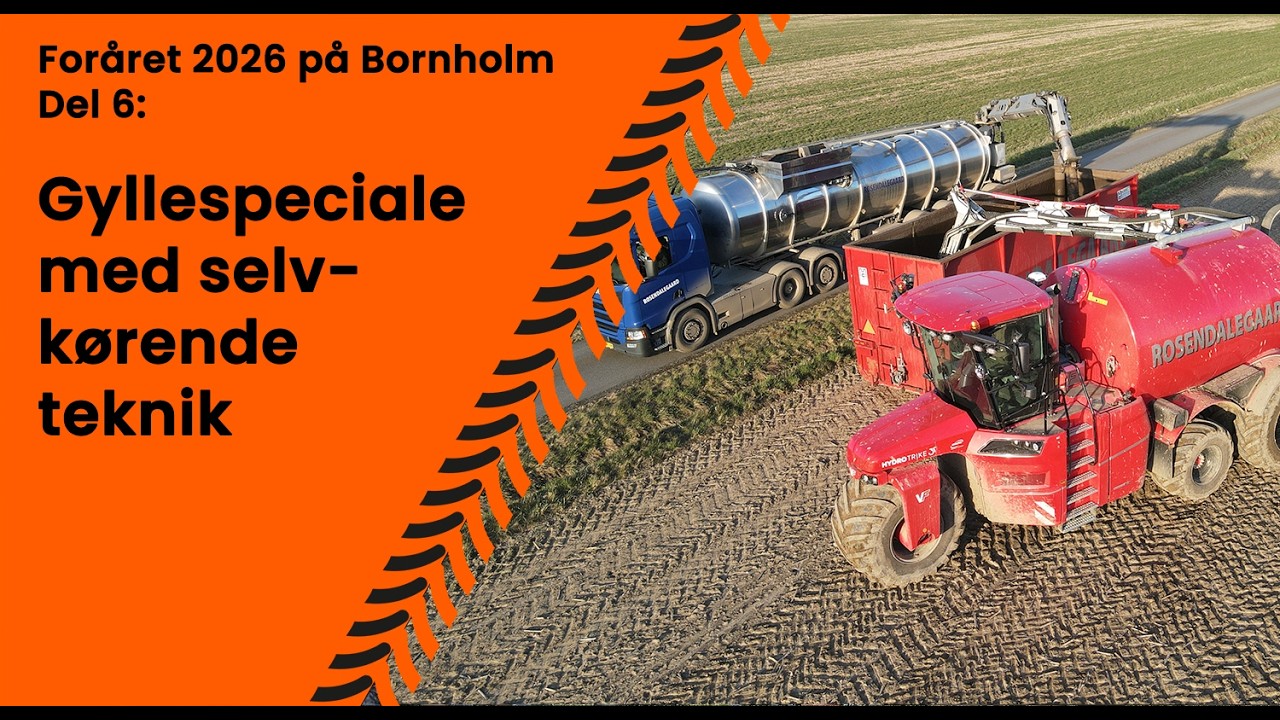 🇩🇰 For&aring;ret p&aring; Bornholm - Del 6: Gyllespeciale med selvk&oslash;rende teknik