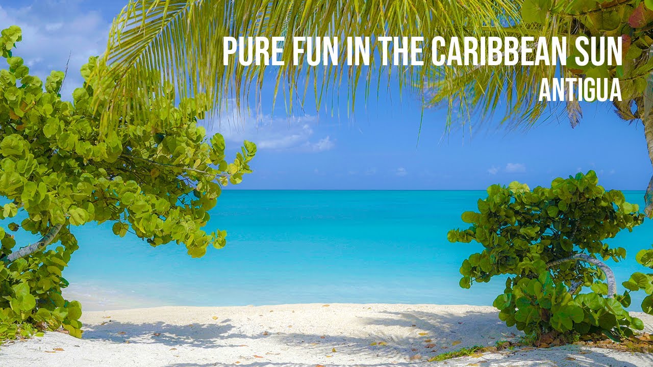ANTIGUA ... PURE FUN IN THE CARIBBEAN SUN #Shorts