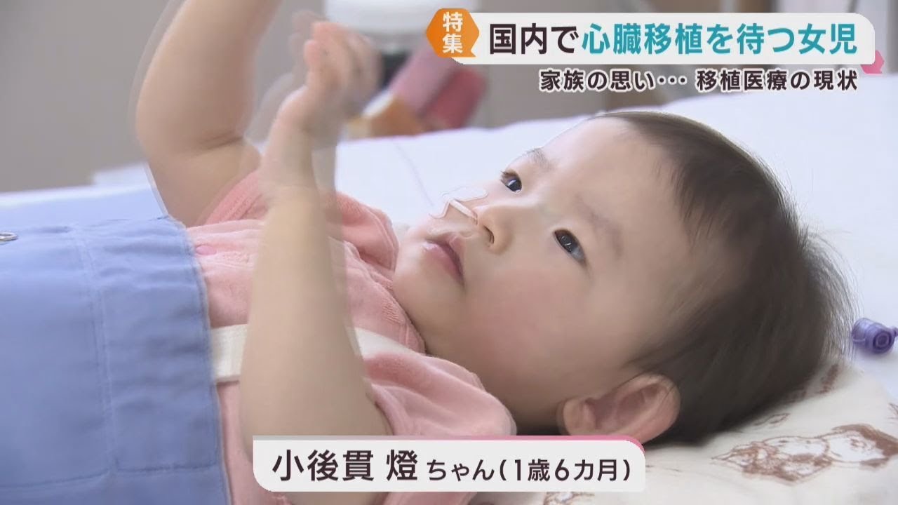 心臓移植を待つ１歳６カ月の女の子と家族　移植医療の現状