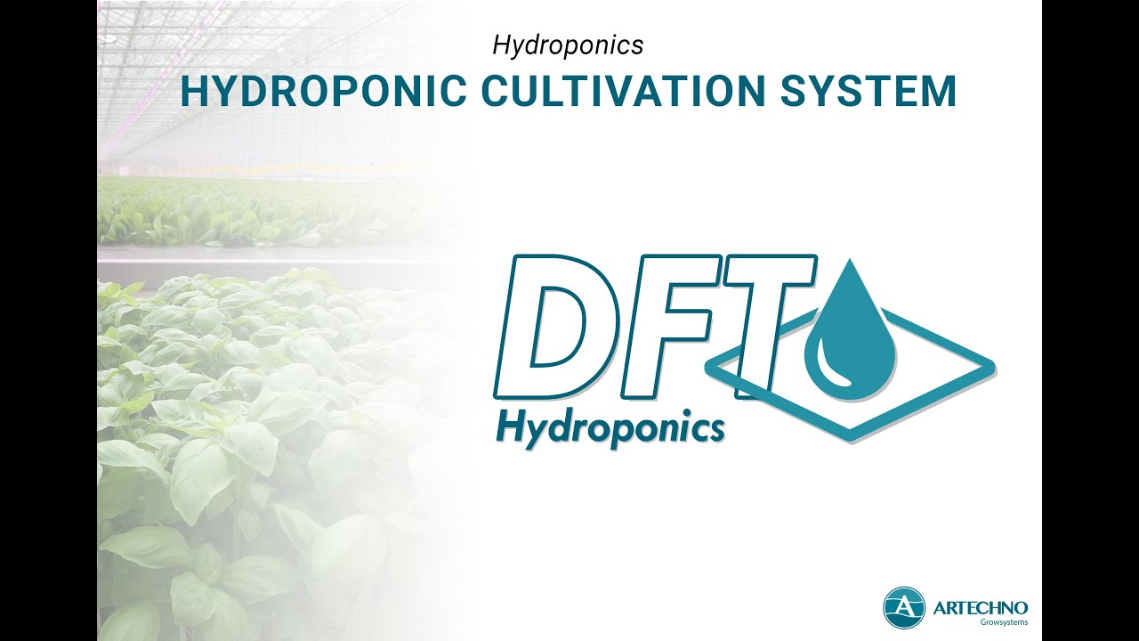 DFT Hydroponics - Hydroponics Cultivation system - Artechno Growsystems
