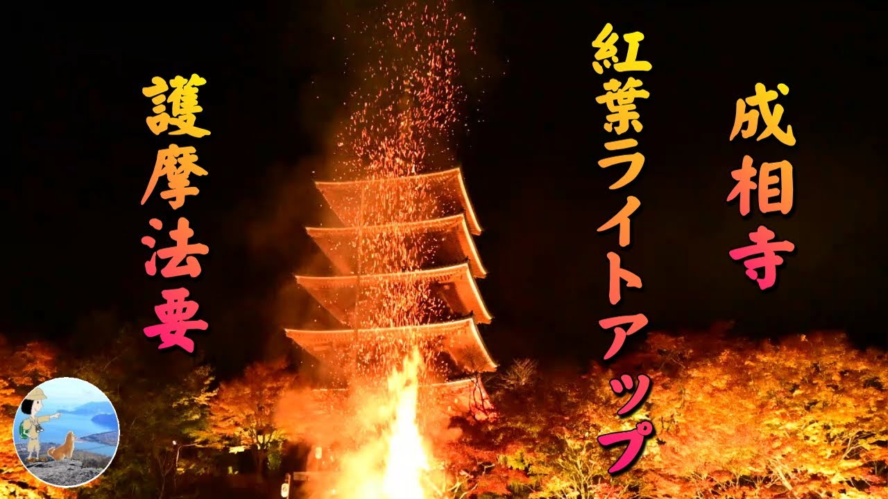 成相寺紅葉ライトアップと護摩法要