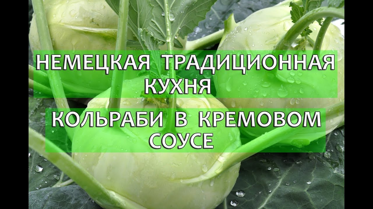Немецкая традиционная кухня.Кольраби в кремовом соусе.
