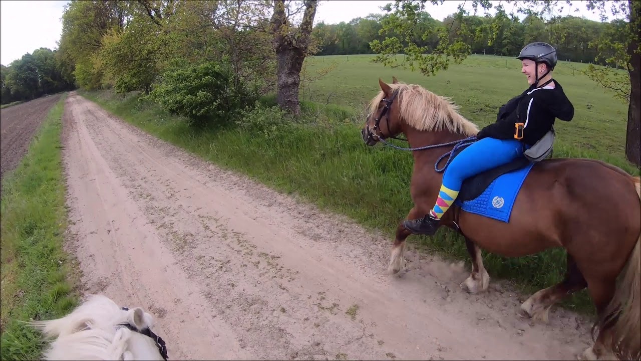 Best of GoPro! Woltermann Edition Teil 2!