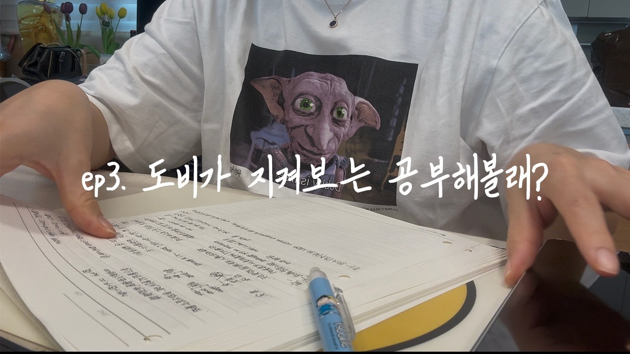 EP 3 중국어공부 24시간, 틈새 브랜딩 브이로그 ⎸ 중국 배우자비자 신청하기, 혼인신고하기 ⎸ 집밥이 최고야 집밥 스물한끼, 성심당 빵투어