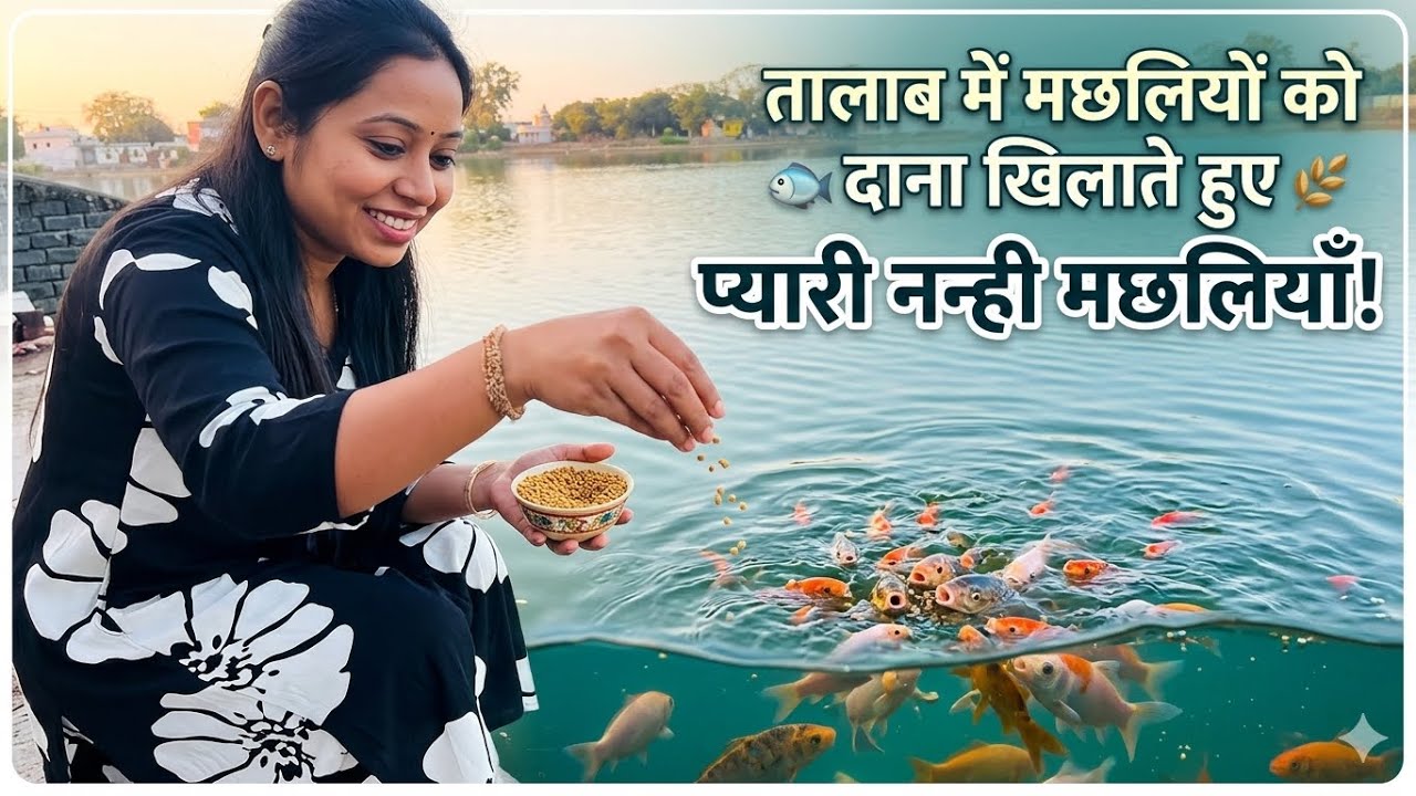 पिछली को खाना खिलाना#vlogs Mahadev ka Darshan#minivlog viral video#ekmotahathighumechala 