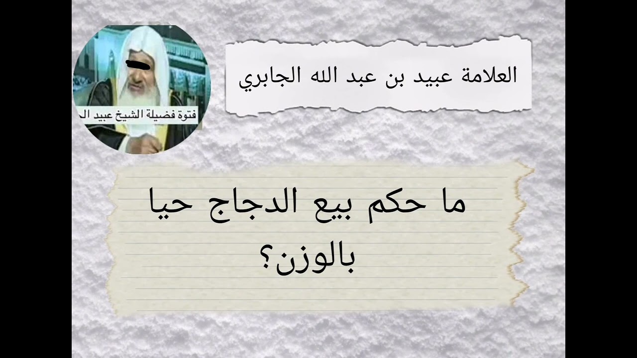 ما حكم بيع الدجاج حيا بالوزن العلامة عبيد بن عبدالله الجابري رحمه الله #حكم #يجوز #لايجوز