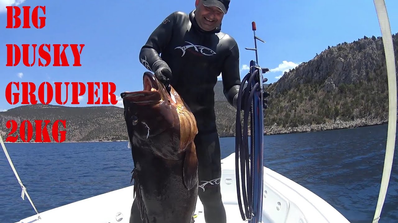 💥ΨΑΡΟΝΤΟΥΦΕΚΟ ΡΟΦΟΣ 20KG🔱SPEARFISHING BIG DUSKY GROUPER 20KG