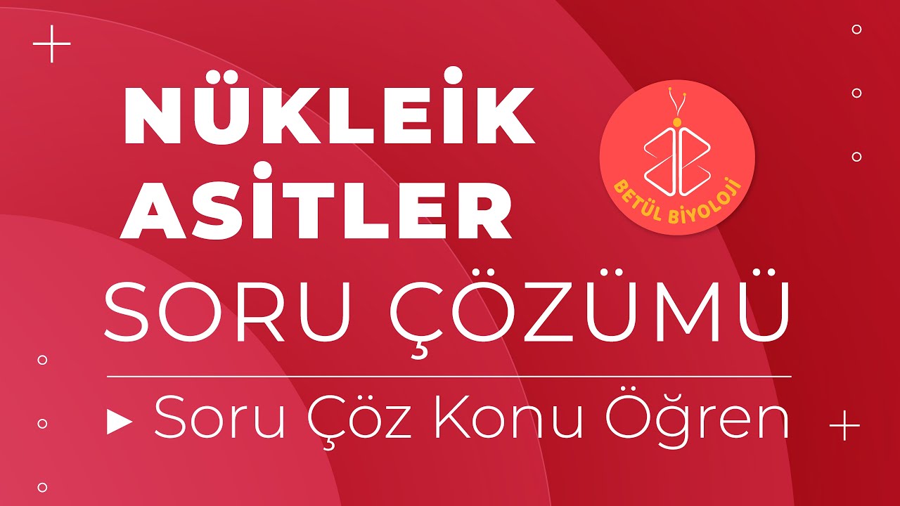 Nükleik Asitler (DNA - RNA) Soru Çözümü | Soru Çöz Konu Öğren | TYT Biyoloji