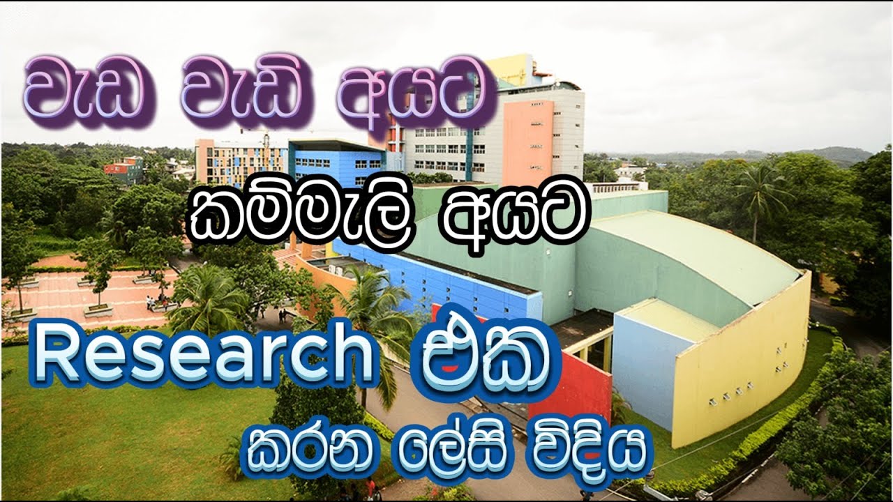Research එක කරන ලේසි ක්‍රමය #lecture #research #finalyear #easy #method