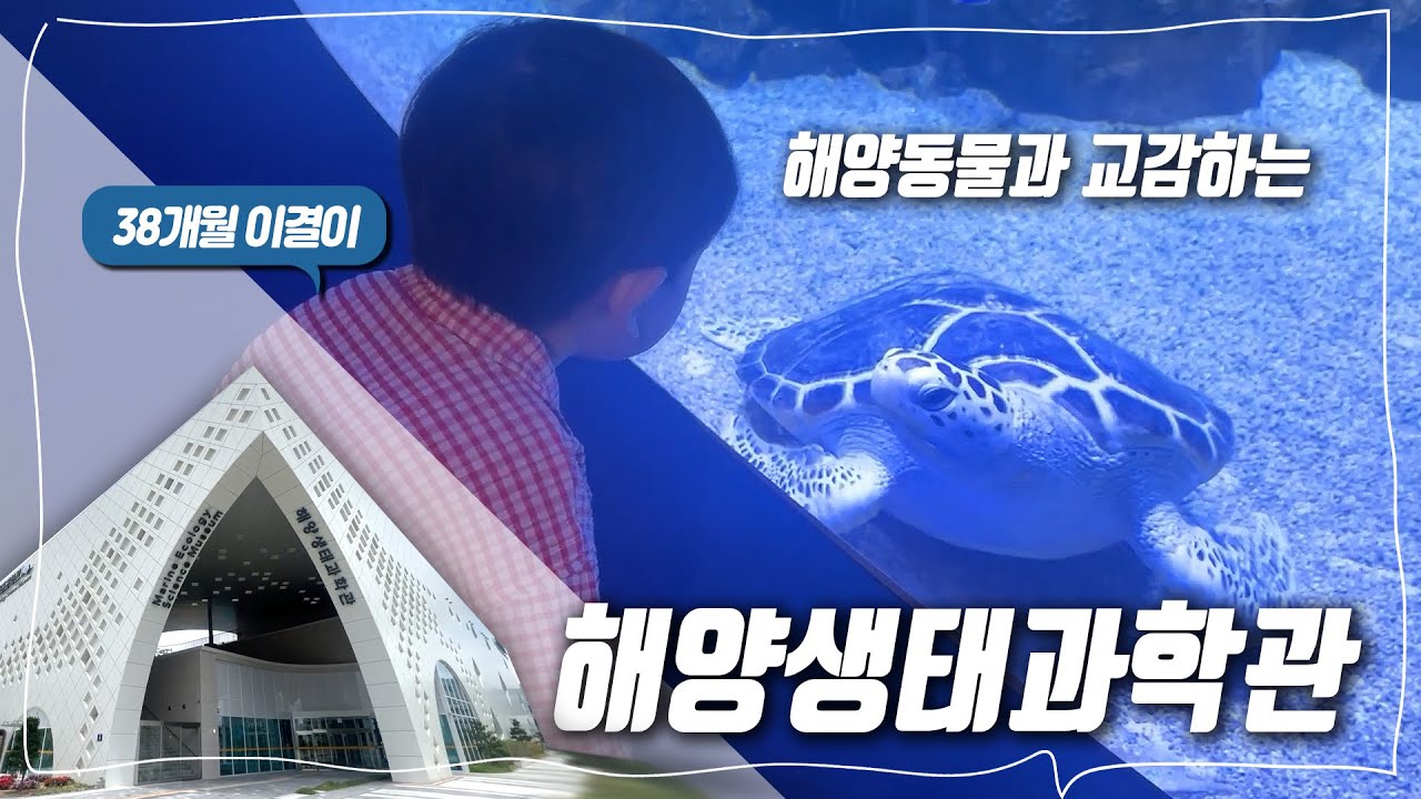 거북섬 해양생태과학관 첫날 방문기🐢 | 더운여름 가기좋은 실내시설 ⭐️이용정보포함