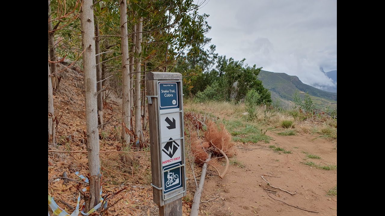 TOKAI MTB - Full Snake Trails including Cobra