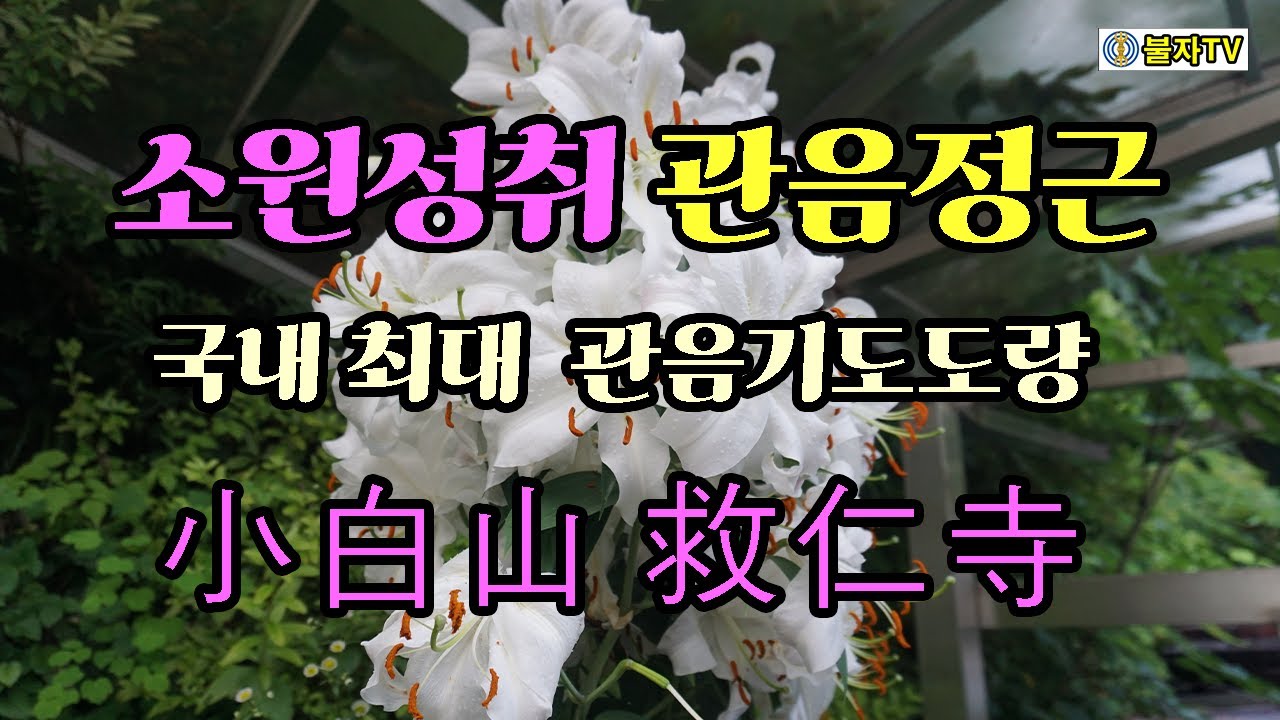 소원성취 관음정근 무심으로 기도하면 못 고칠 병이 없고, 못 이룰  소원이 없다 /Avalokitesvara Guinsa Temple #관세음보살 #구인사 #천태종 #소원성취