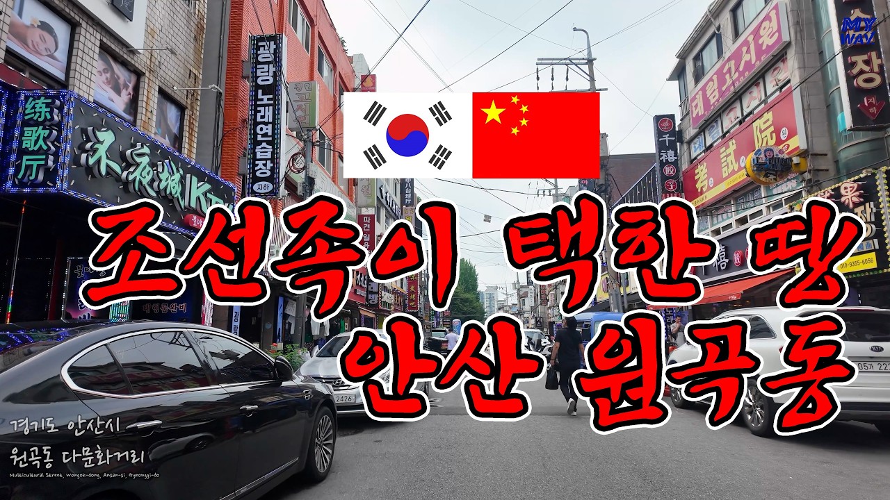여기 한국 맞아 안산 원곡동 다문화거리 걸어보기[4K]  Walking in Multicultural Street