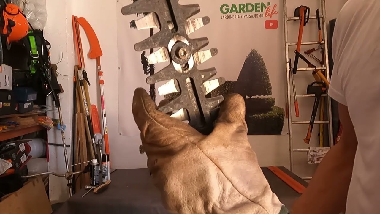 LIMPIEZA ESPADA CORTASETOS