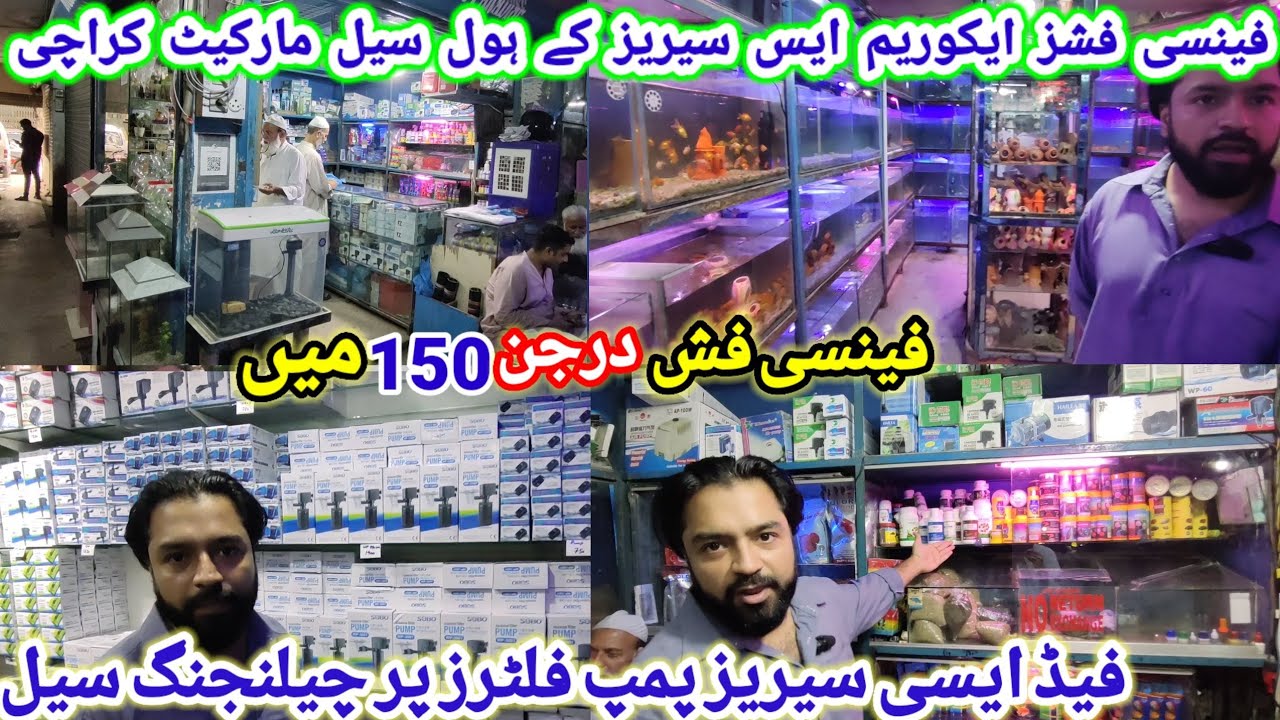 Fancy fishes 🐠aquariums pumps.more accessories wholesale market Karachi