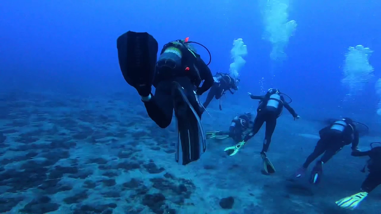 Madeira Divepoint - Garajau National Marine Park