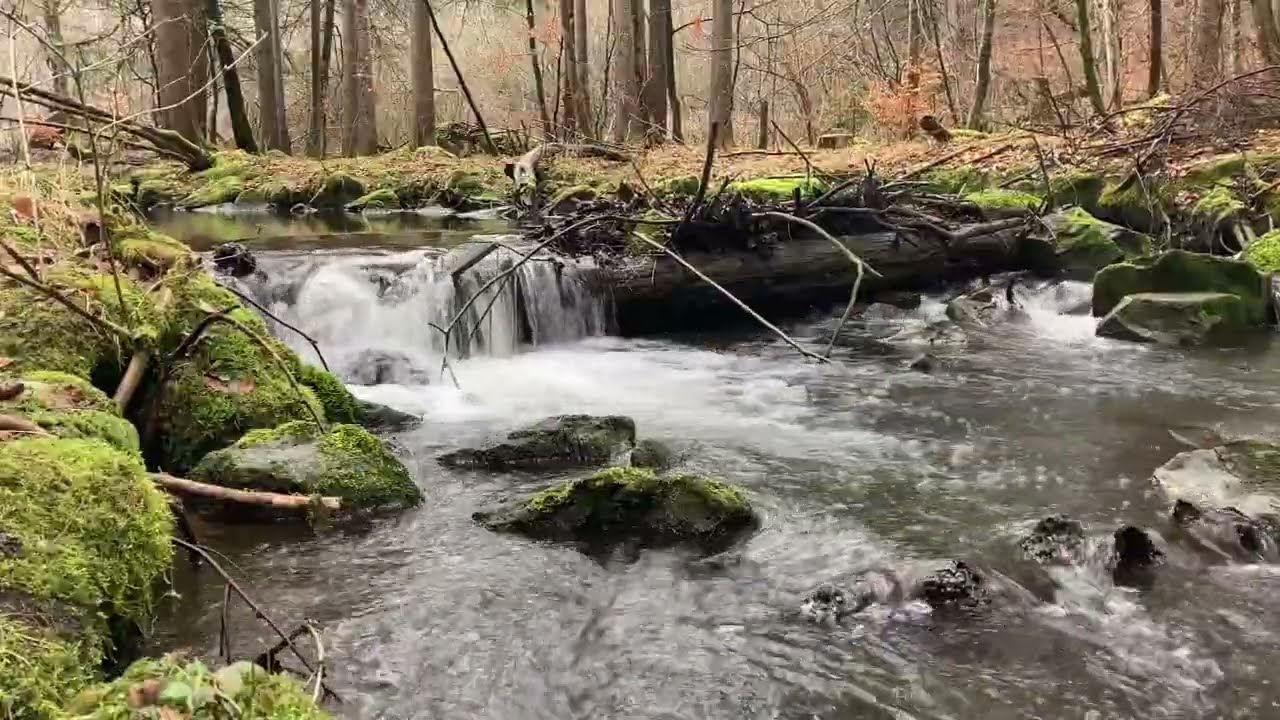 Bachrauschen , Bach pl&auml;tschern , Wasserger&auml;usche , Naturesounds, Naturger&auml;usche , watersounds