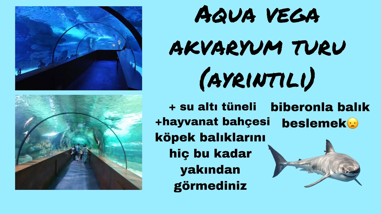 Türkiye’ nin en büyük akvaryumunda beraber dolaşalım| Aqua vega akvaryum