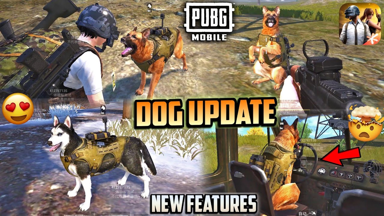 New Assistant DOG in PUBG 4.3 Update | Military Combat Dog All New Features Game For Peace !
