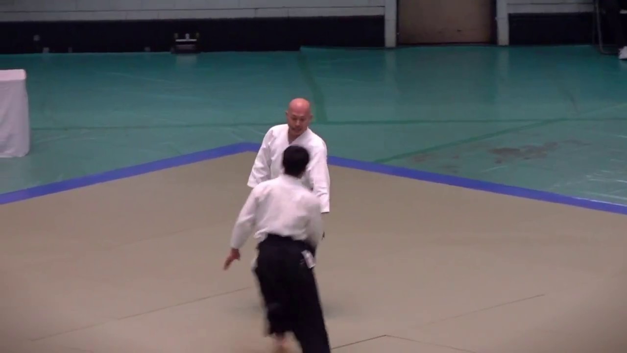 Kuribayashi Shihan Embu, 55th All Japan Aikido Embukai, 2017