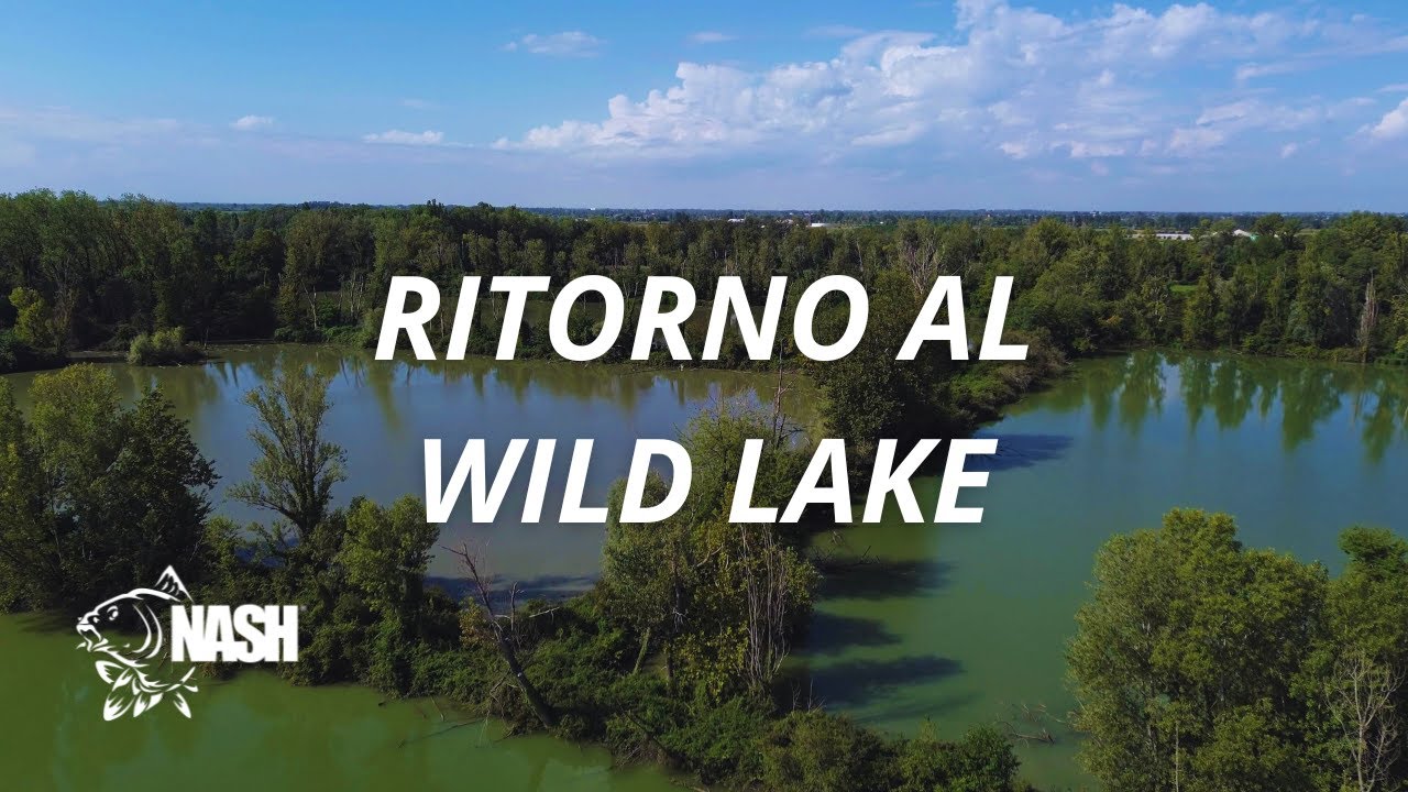 RITORNO AL WILD LAKE - carpfishing col sasso a perdere 