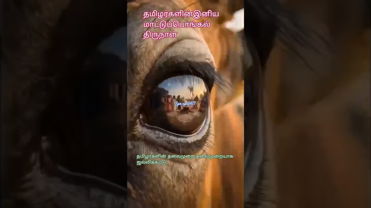 Marabu Aaradhya kondattam Puthiya thalaimuraigal