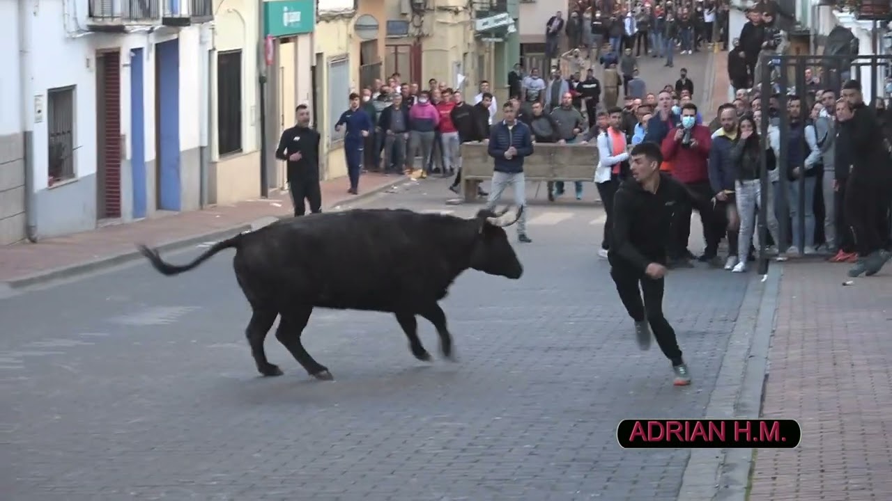 Soneja(Cs) 12-03-2022 Suelta de vacas - Matinal ganadería Luís López / Tarde Hnos. Monferrer