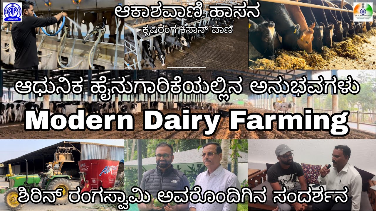 ಆಧುನಿಕ ಹೈನುಗಾರಿಕೆಯಲ್ಲಿನ ಅನುಭವಗಳು | ಶಿರಿನ್ ರಂಗಸ್ವಾಮಿ | Modern Dairy Farming | ಆಕಾಶವಾಣಿ ಹಾಸನ |