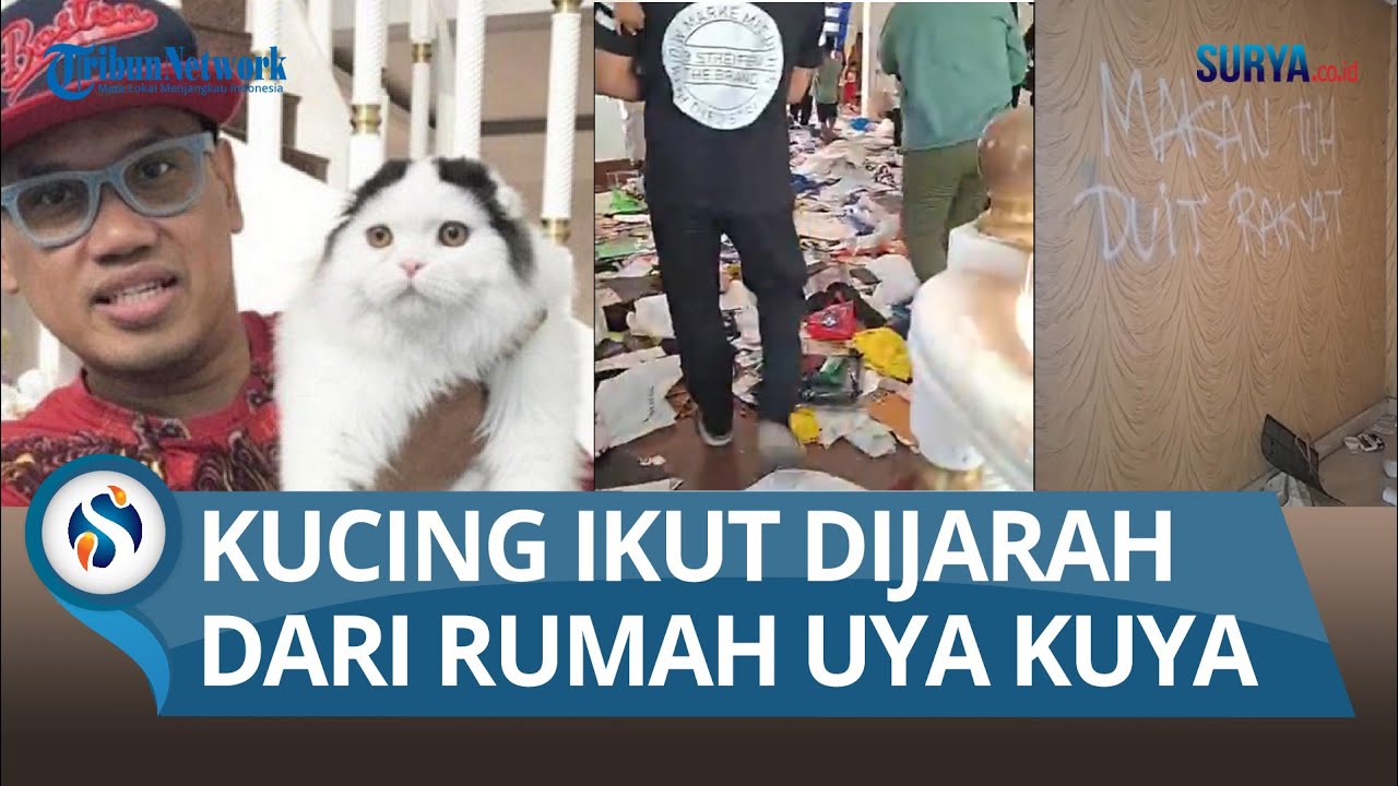 RUMAH UYA KUYA LUDES, Kucing Kesayangan Ikut Digondol, Dijarah Sampai Siang