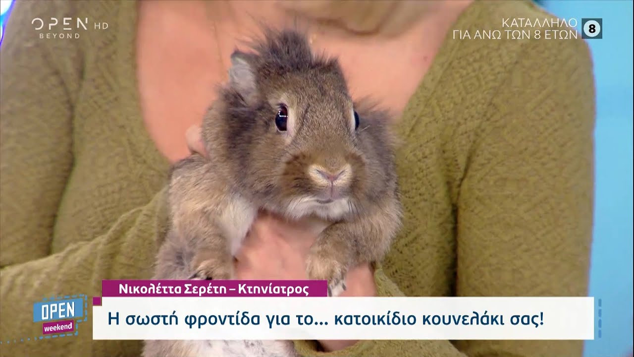 Η σωστή φροντίδα για το... κατοικίδιο κουνελάκι σας! | Open Weekend 05/02/2023 | OPEN TV