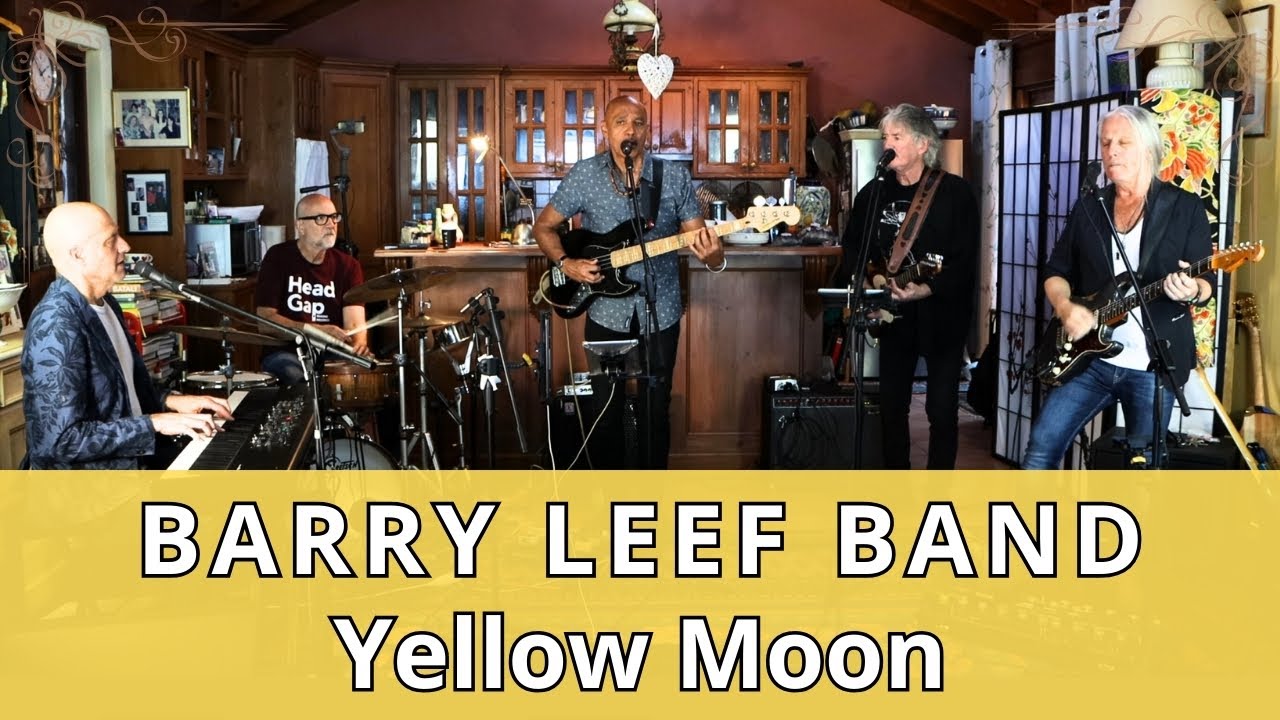 Yellow Moon (Neville Brothers) cover by The Barry Leef Band