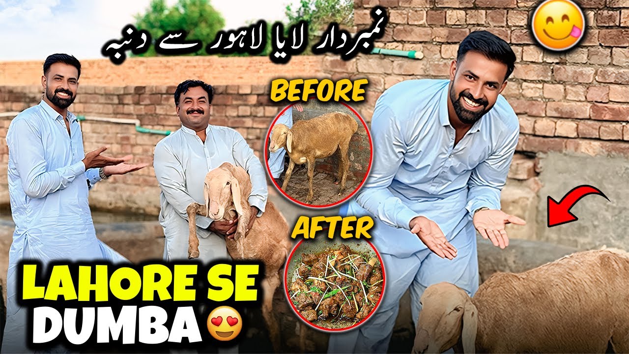Number Daar Lahore se Laya Dumba 😲 | نمبردار لایا سپیشل دنبہ لاہور سے دم پخت بنانے کے لیے