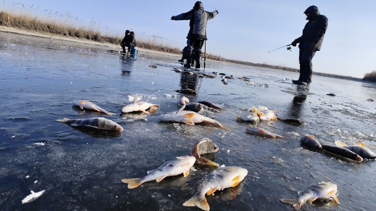 ОЦЕ Я РОЗУМІЮ ПОПАВ НА КОЗИРНУ ЛУНКУ.Зимова рибалка на балансир