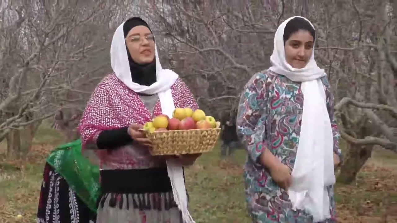 village life Iran | cooking Dolmeh #recipe