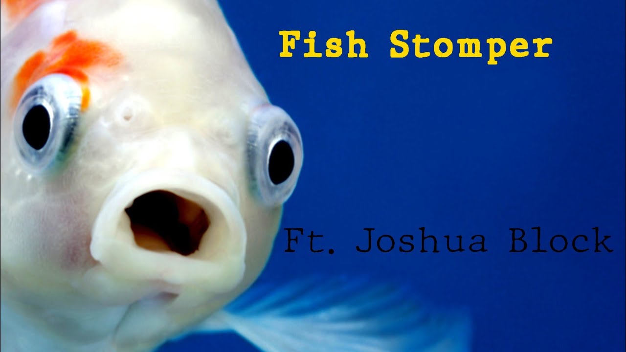 Standard Brush - Fish Stomper (Official Music Video)