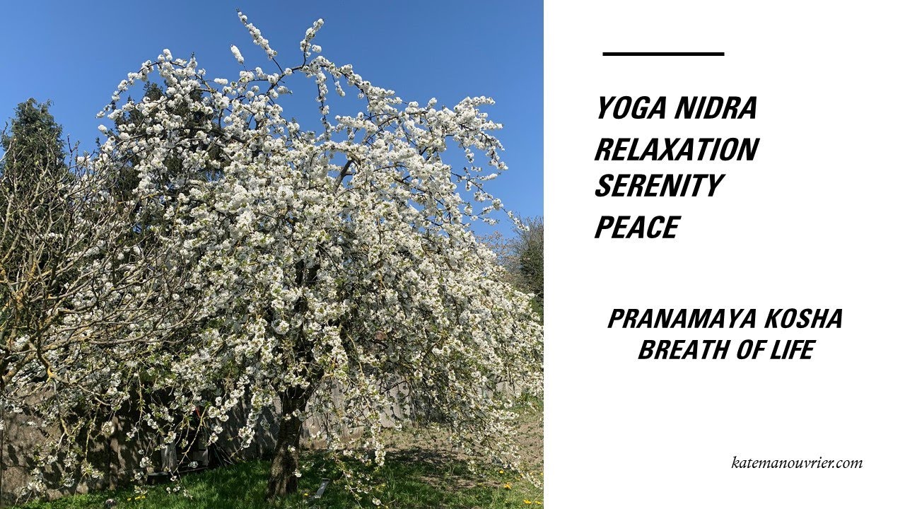 Pranamaya Kosha Yoga Nidra