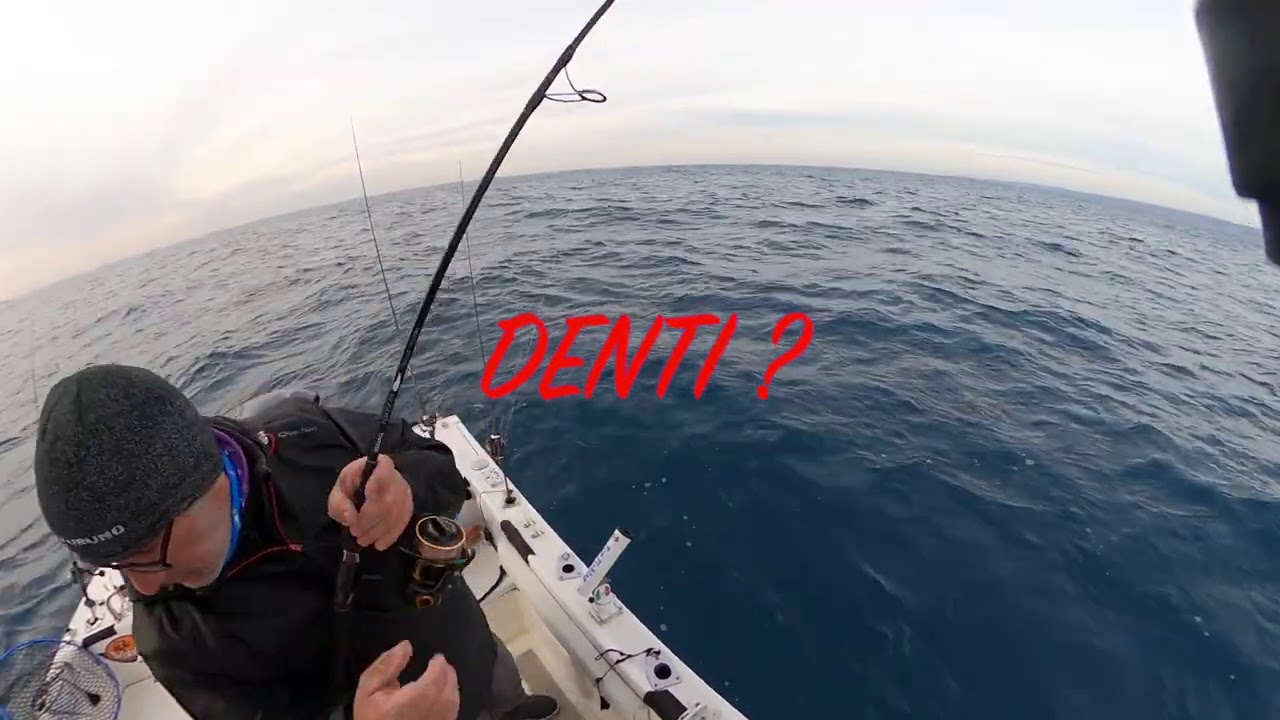 Bonne Année 2021, surprise à la pêche au denti!