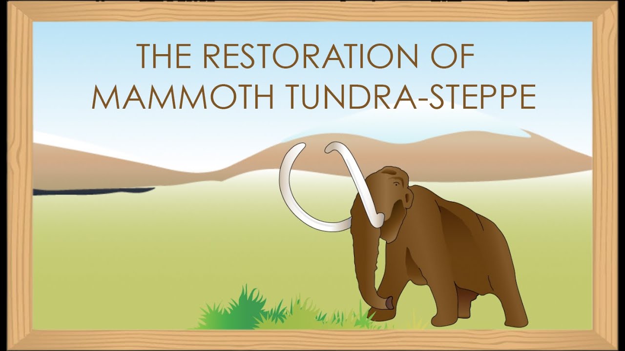 The Restoration of Mammoth Tundra-Steppe