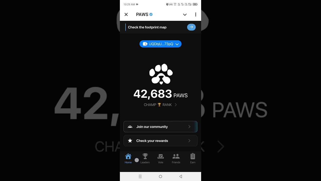 Paws mystery paws today task 8000 airdrop 3 December question with answer