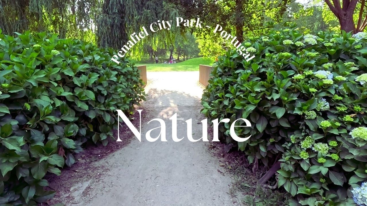 Relaxing Walk in Portugal | Penafiel Park Ambience [4K]