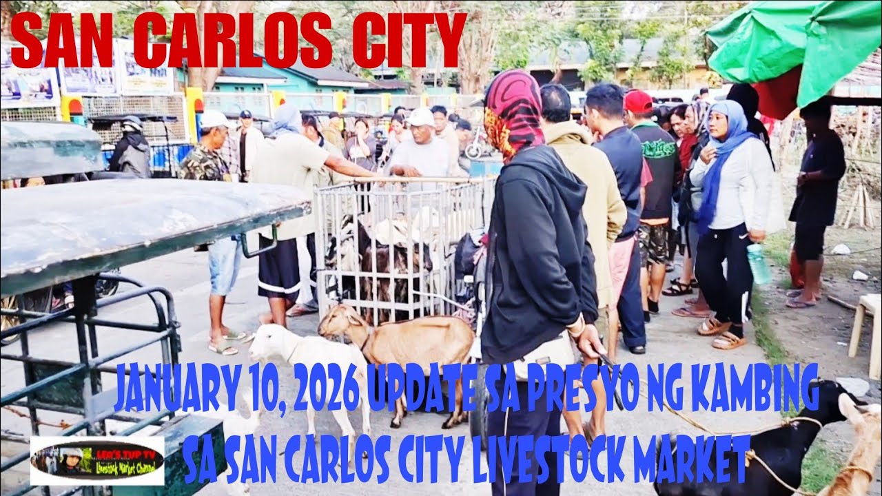 January 10, 2026 Update sa Presyo ng kambing sa San Carlos City Livestock Market #marketday 