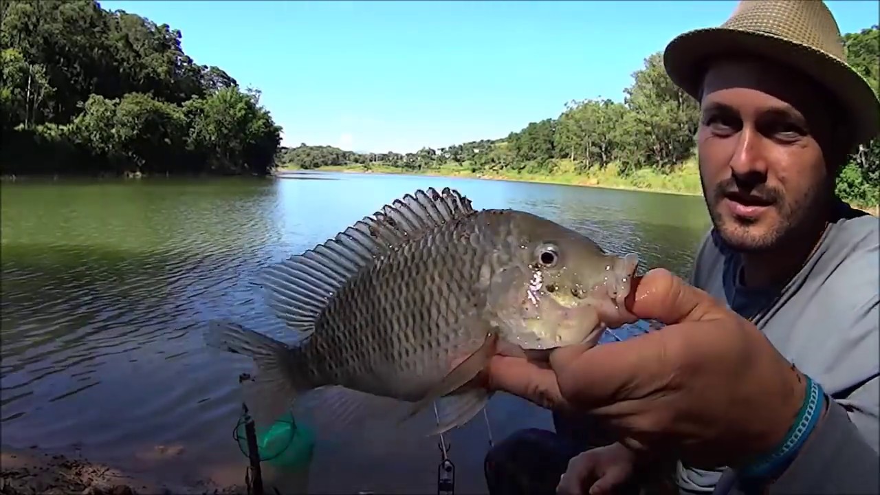 DICAS de PESCA COMO PESCAR NA REPRESA(cevando na hora)