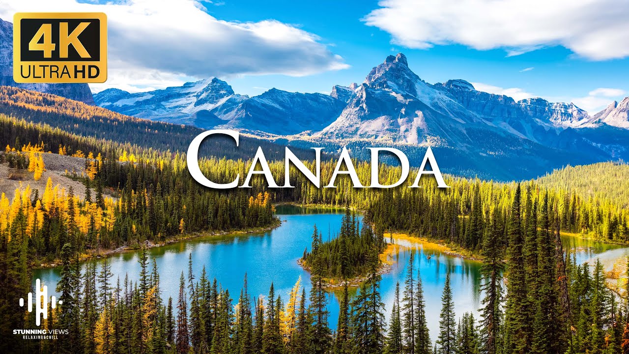 Discover the Hidden Secrets of Canada's Wildlife #relax #relaxing #4kvideo