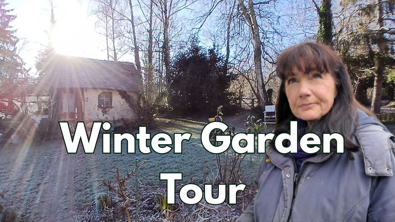 Finding a Compass | A Winter Garden Tour