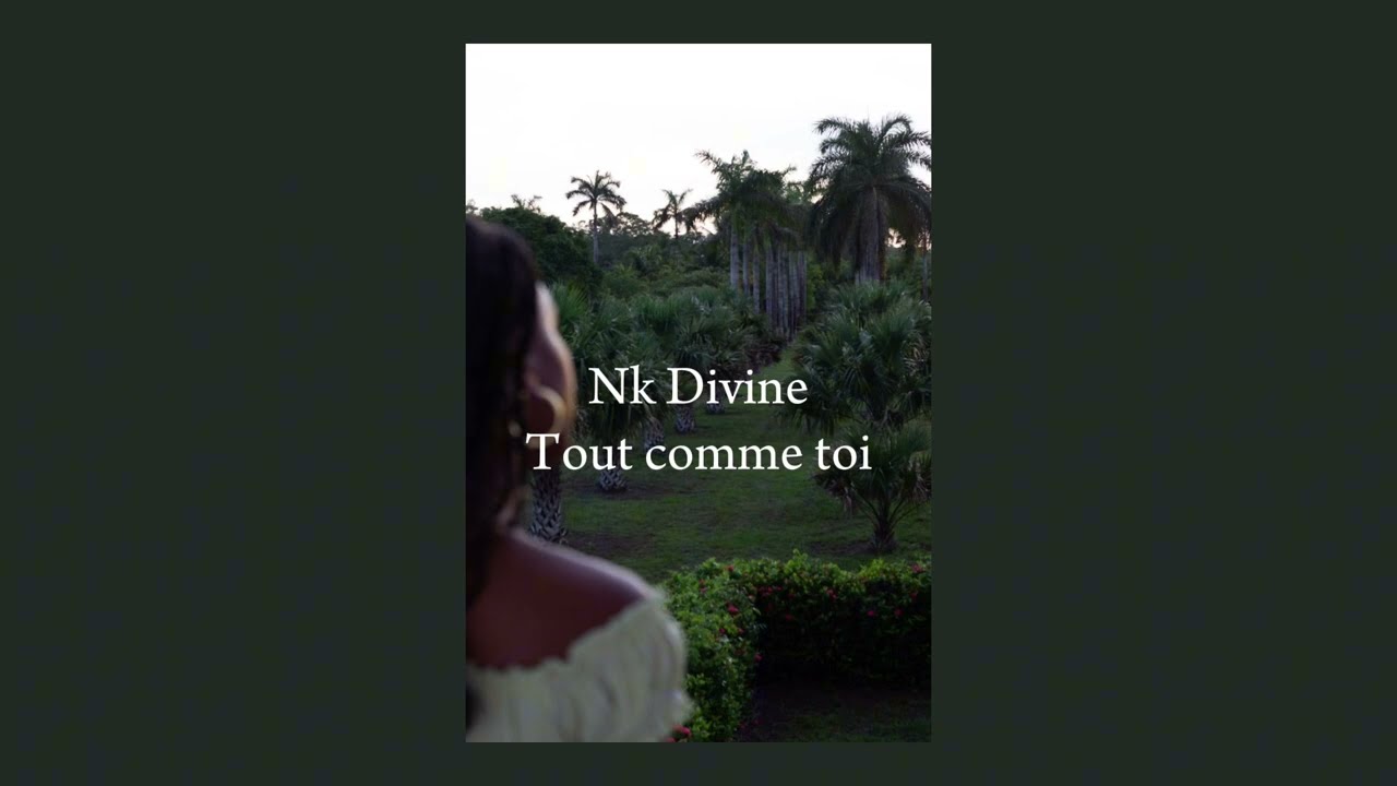 Nk Divine - Tout comme toi ( slowed )