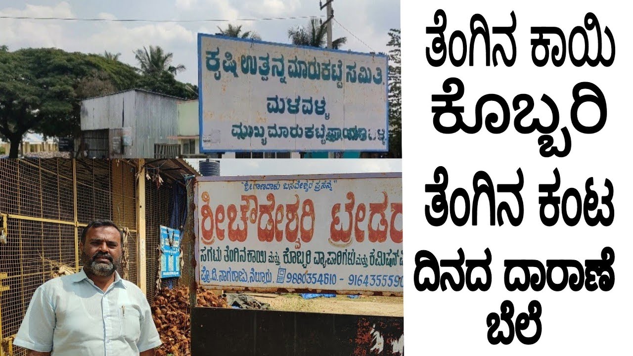 ತೆಂಗಿನ ಕಾಯಿ ಕೊಬ್ಬರಿ ತೆಂಗಿನ ಕಂಟ | ಕೃಷಿ ಮಾರುಕಟ್ಟೆ ಮಳವಳ್ಳಿ #sudeesutthamuttha